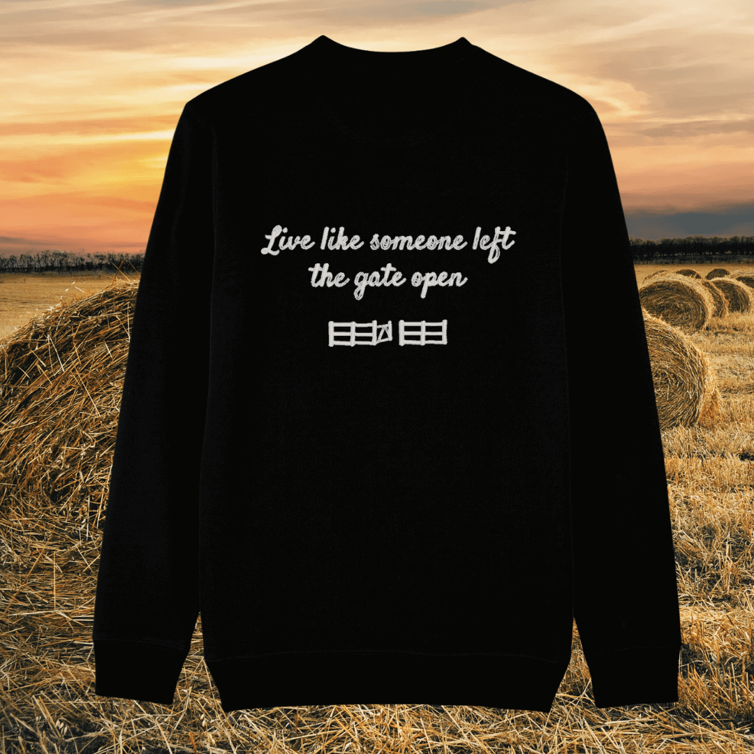 Back view of the Highland Cow Black organic cotton sweater with a minimalist plain back by Mindful Earth.