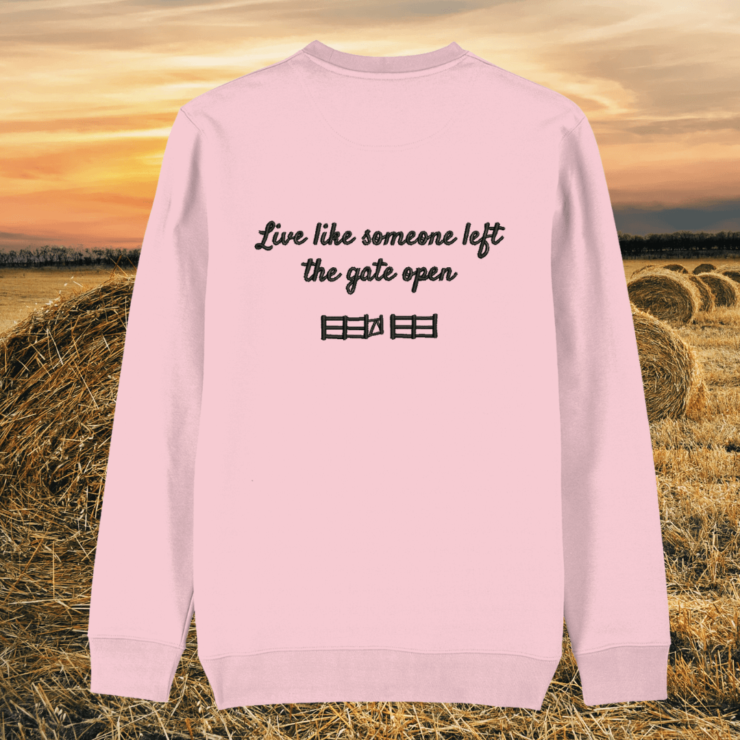 Back view of the Highland Cow Cotton Pink organic cotton sweater with a minimalist plain back by Mindful Earth.