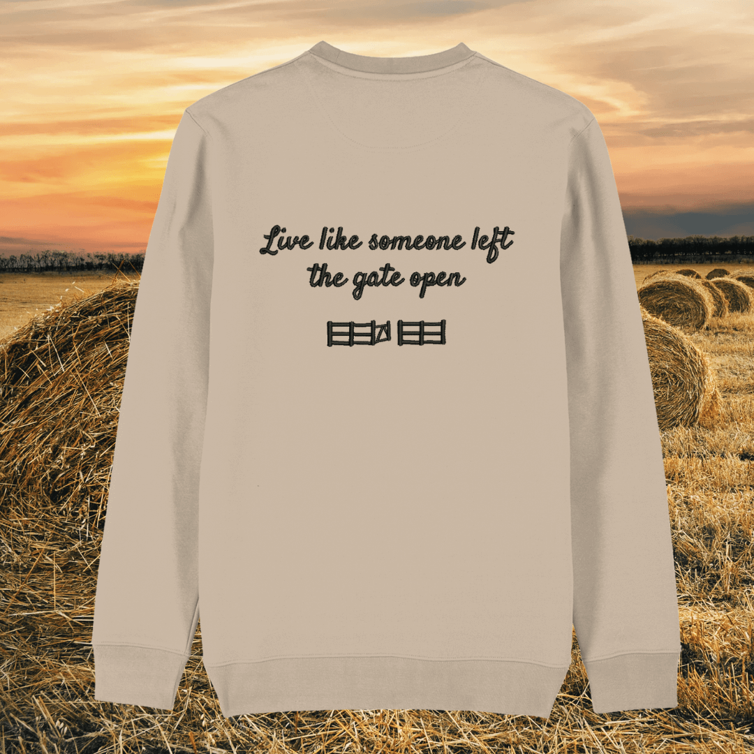 Back view of the Highland Cow Desert Dust organic cotton sweater with a minimalist plain back by Mindful Earth.