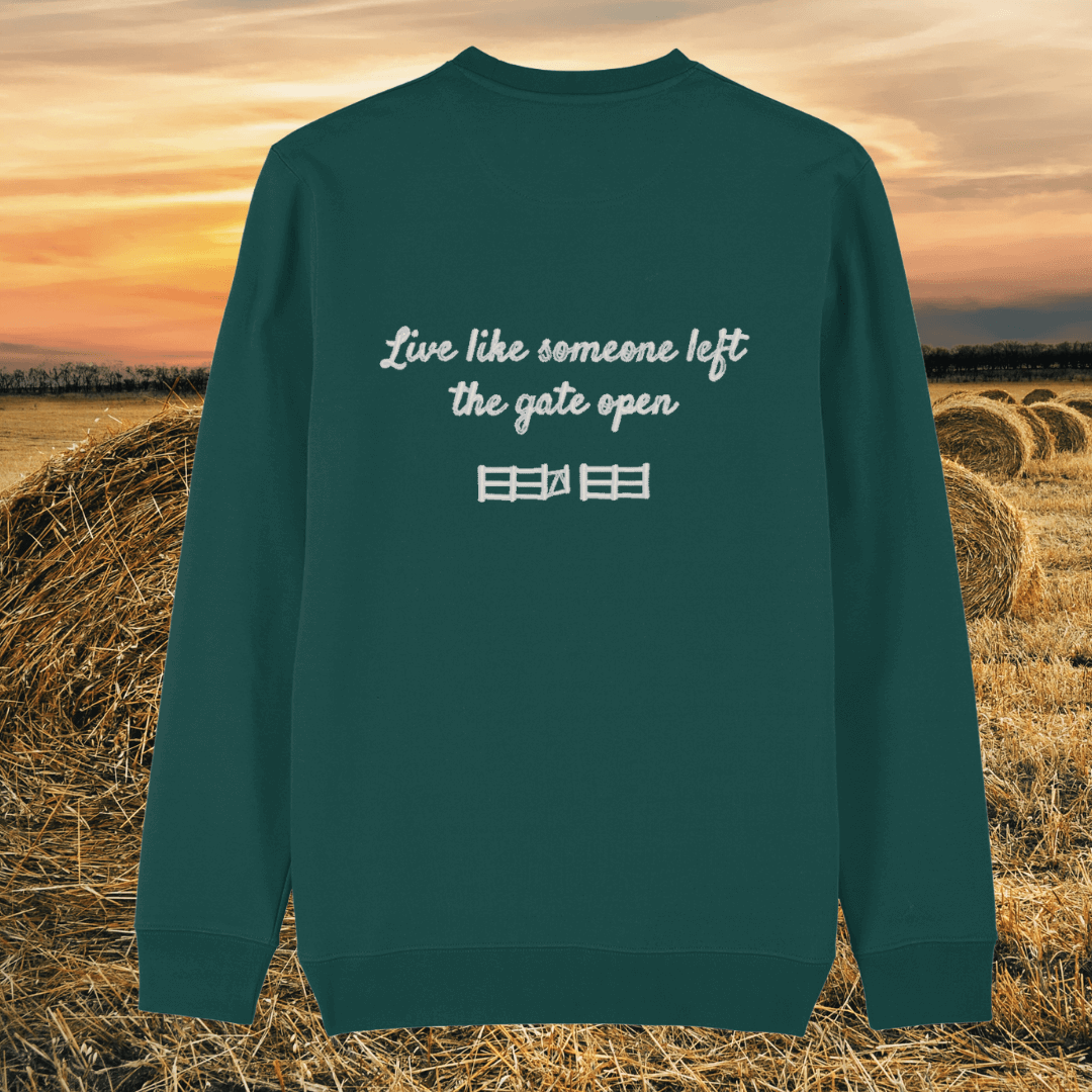 Back view of the Highland Cow Glazed Green organic cotton sweater with a minimalist plain back by Mindful Earth.