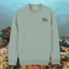 Turtle Embrace The Journey organic cotton sweater front in Aloe