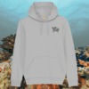 Turtle Embrace The Journey organic cotton hoodie front in Heather Grey