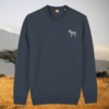 Zebra Dare To Be Different organic cotton sweater front in India Ink Grey